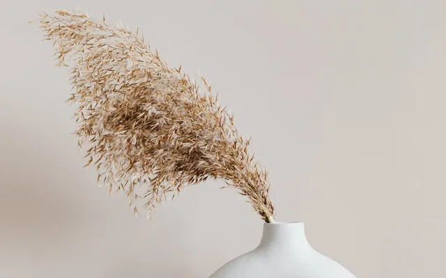 Macrame Plant Hanger with Wooden Shelf: Full Tutorial