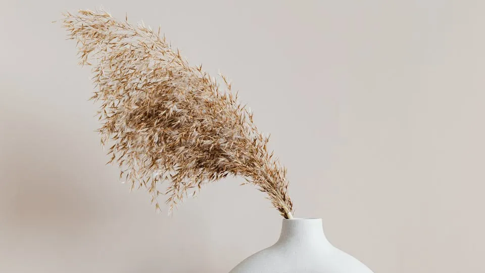 How to Make a Macrame Plant Hanger (Step-by-Step)